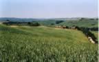 Vista del Montecucco (32kb)